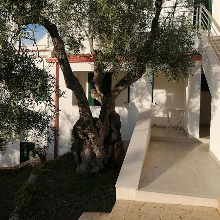 Villa Elisa Весте Екстериор снимка