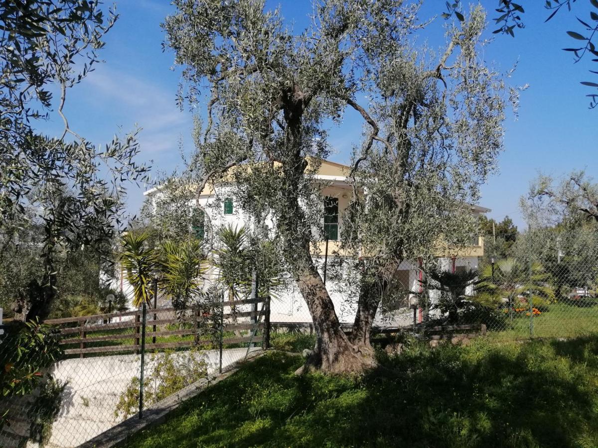 Villa Elisa Весте Екстериор снимка