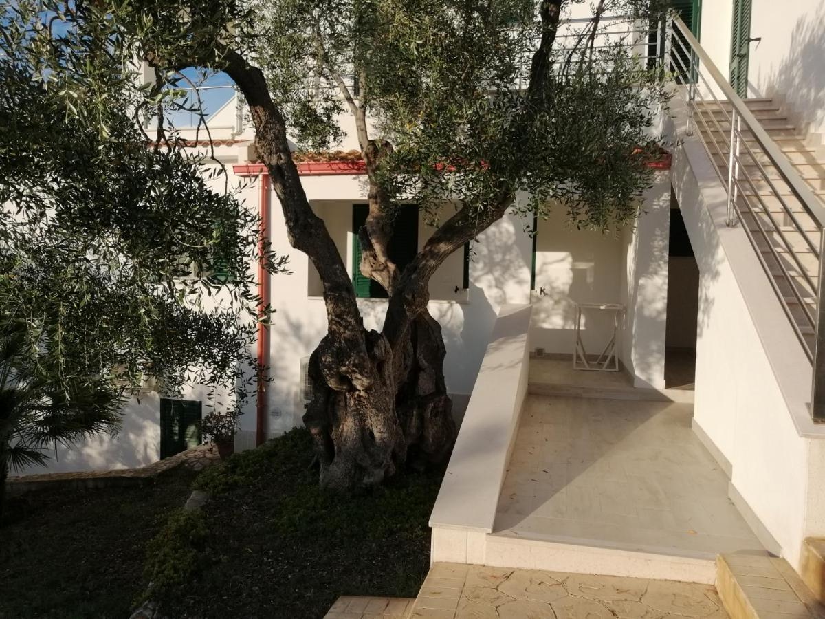 Villa Elisa Весте Екстериор снимка